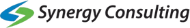 Synergy Consulting
